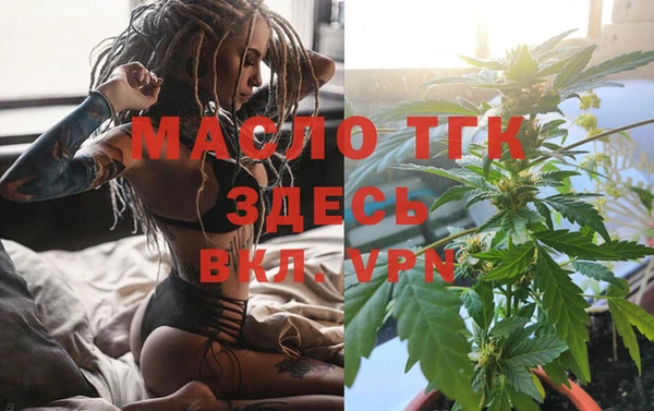сатива Верея