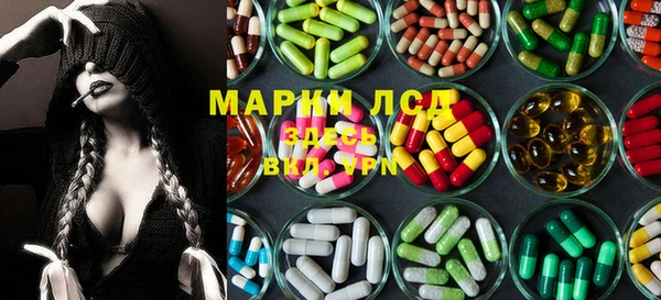 прущий лед Богданович