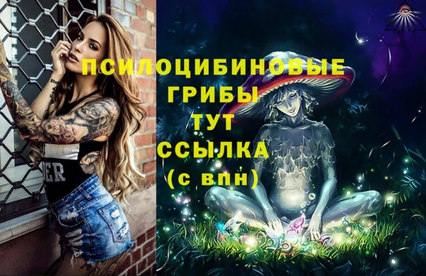 прущий лед Богданович