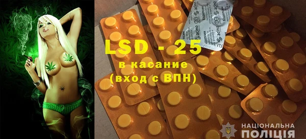 прущий лед Богданович