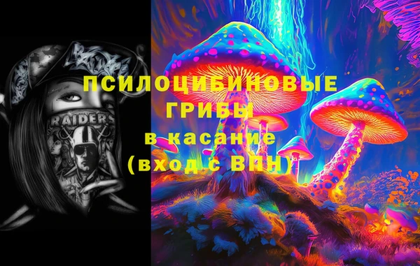 сатива Верея